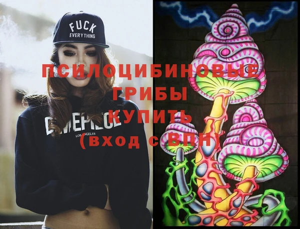 соль ск Кулебаки