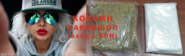 соль ск Кулебаки
